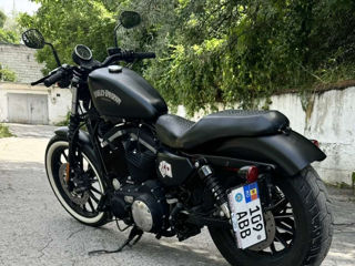 Harley - Davidson IRON 883