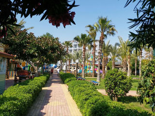 Отель Caretta Beach Hotel 4 * (Аланья (Alanya), Турция).Хорошее соотношение цена=качество! foto 4