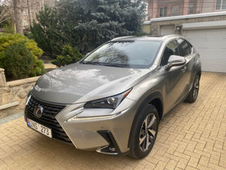 Lexus NX Series foto 5