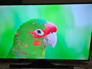 Urgent Samsung Led 4k Smart Mare 140cm - Ideal