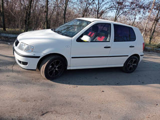 Volkswagen Polo foto 5