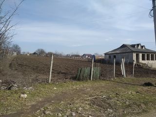 Se vinde un teren pentru construcție în satul Holercani raionul Dubăsari. foto 4