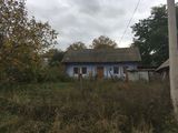 Se vinde casa cu teren! 0.11ha (11 sotci) la Cobusca Noua, raionul Anenii Noi foto 3