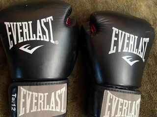 Mănuși de box EVERLAST