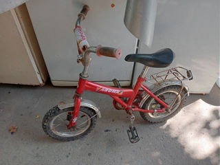 Biciclete foto 10
