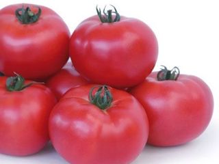 Importator.hibrid de tomate roz . n1 in europa tokado / asano f1 /livrare / consultatii agronomice