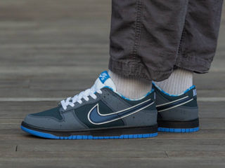 Nike SB Dunk Blue Lobster foto 8