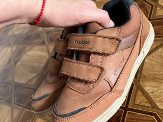 Geox m.33 foto 1