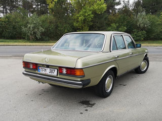 Mercedes123 foto 2