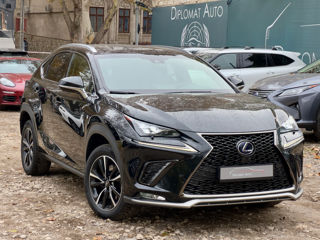 Lexus NX Series