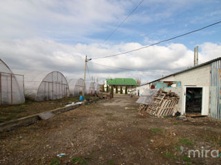Spre vânzare teren agricol în s.Dobrogea!! foto 19