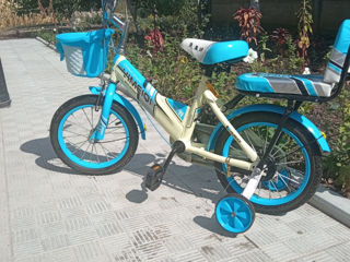 Bicicleta foto 2