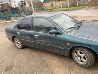 Nissan Primera foto 3