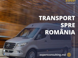 Transport România, Vaslui, Bucuresti, Bacau foto 2