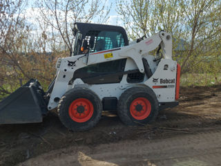 Bobcat foto 1