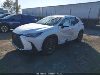 Lexus NX Series foto 3