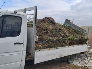 Masina de evacuare a  gunoiului, avem hamali si alte tipuri de servicii transport foto 2