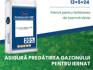 Fertilizanți pentru gazon potriviți la toate etapele de creștere! foto 5