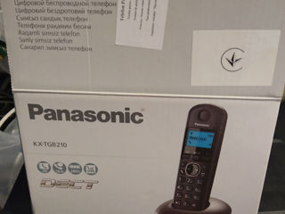 Panasonic