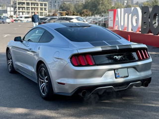 Ford Mustang foto 6