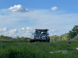 Nissan Patrol, 2005 г.