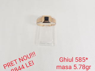 Ghiul 585* foto 2