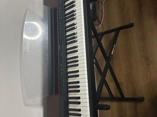 Yamaha p155