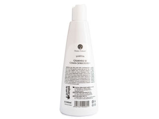 Șampon cu Gălbenele și Coada Șoricelului (Anti-mătreață) 300ml foto 2