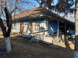 Продаю 2 жилых дома в селе Новая Обрежа, Фалештского района. foto 3