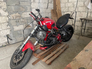 Ducati Monster foto 10