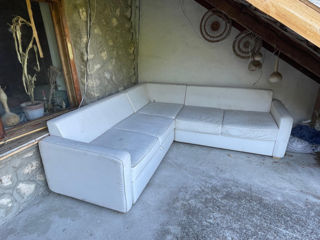 Canapea din piele tip “Coltar„ ( Mobexpert) foto 0