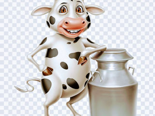 Lapte de vaca
