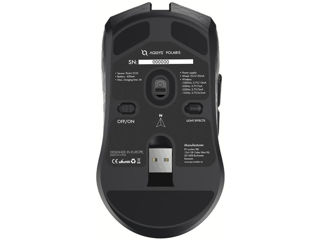 Mouse Aqirys Polaris foto 6