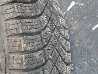 Pirelli XL WIceFR 185/65 R15 92T foto 4