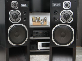 Yamaha Ns-1000m
