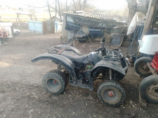 Viper ATV