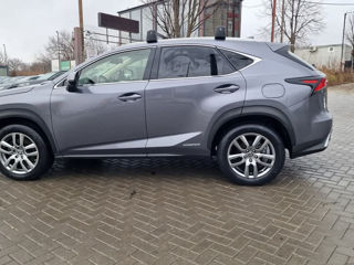 Lexus NX Series foto 6