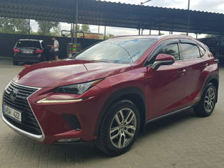 Lexus NX Series