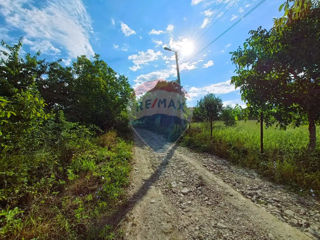 Teren pomicol în comuna Trușeni (Bostancea) foto 20