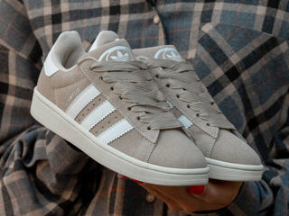 Adidas Campus Bej Women's