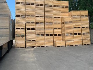 Containere din lemn pentru fructe si legume / Контейнеры деревянные для фруктов и овощей foto 2