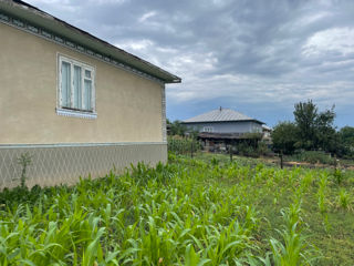 Se vinde casa S. Pelenia raionul Drochia 12ari