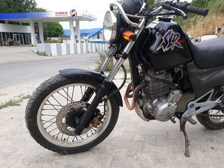 Honda SLR 650 foto 5