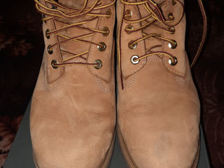 Timberland foto 4