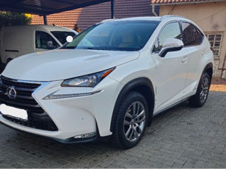 Lexus NX Series