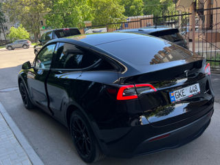 Tesla Model Y foto 4