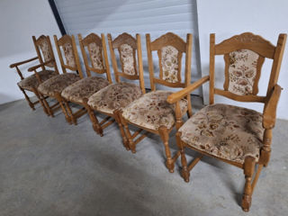6 scaune lemn natural foto 9