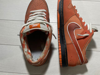 Nike dunk lobster