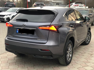 Lexus NX Series foto 4