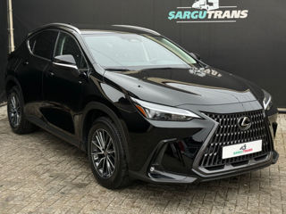 Lexus NX Series